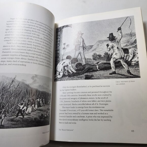 What's the Deal? Jefferson, Napoleon, and the Louisiana Purchase Paperback Book - Picture 6 of 16